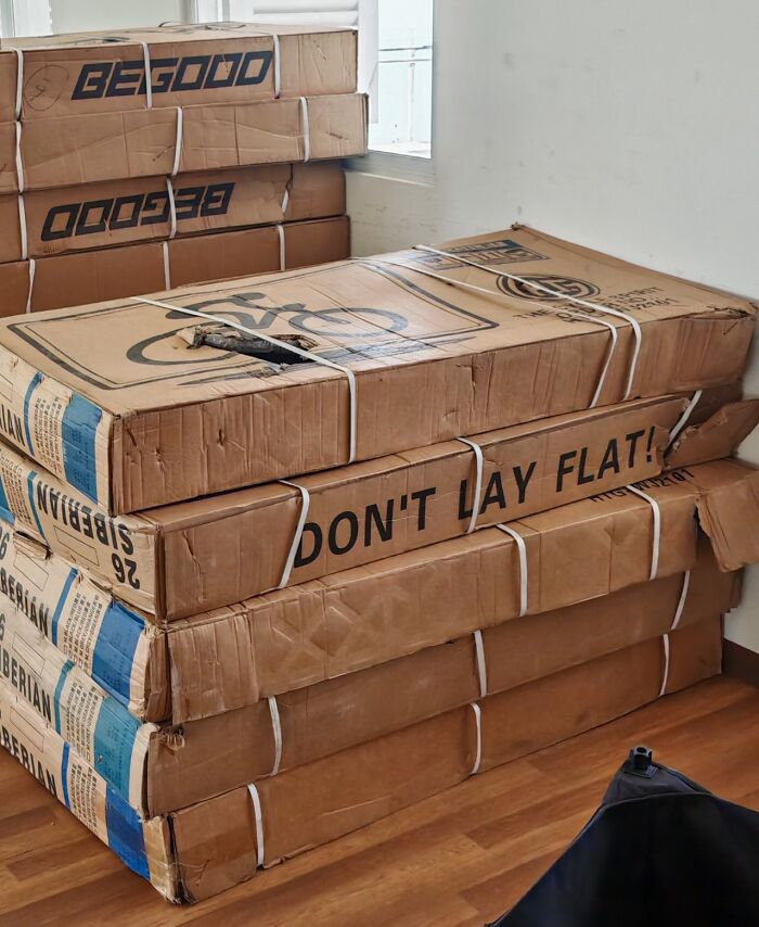 Asked My Coworker To Handle 19 Bicycles Carefully, Got This Instead