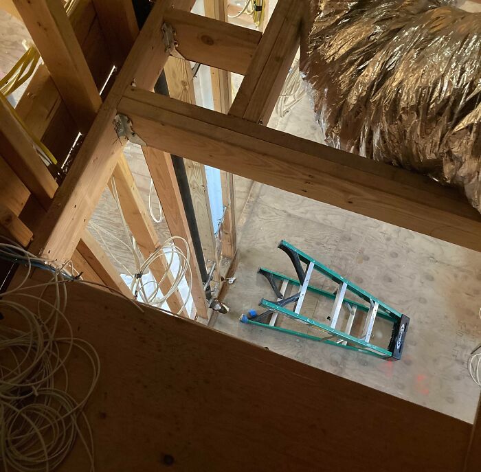 Ned’s Favorite Hobby? Kicking Over My Ladder