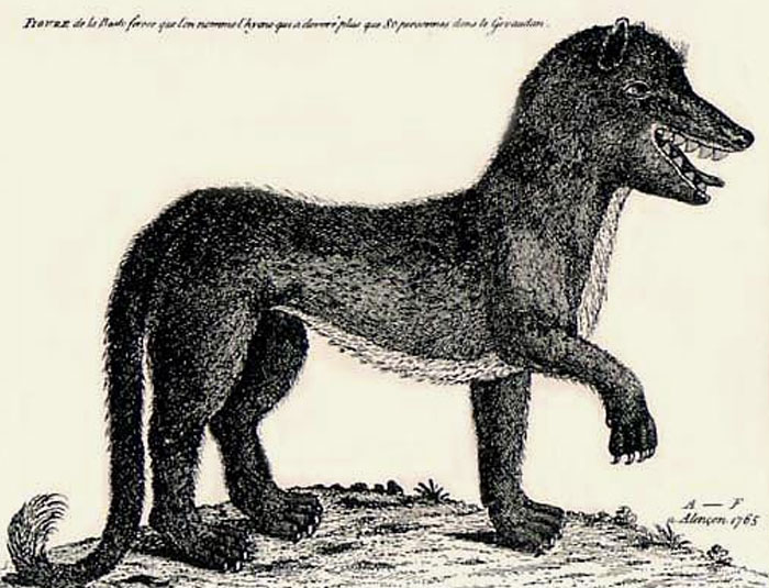 Wait, They Actually Ranked Those Scary Unsolved Mysteries?!