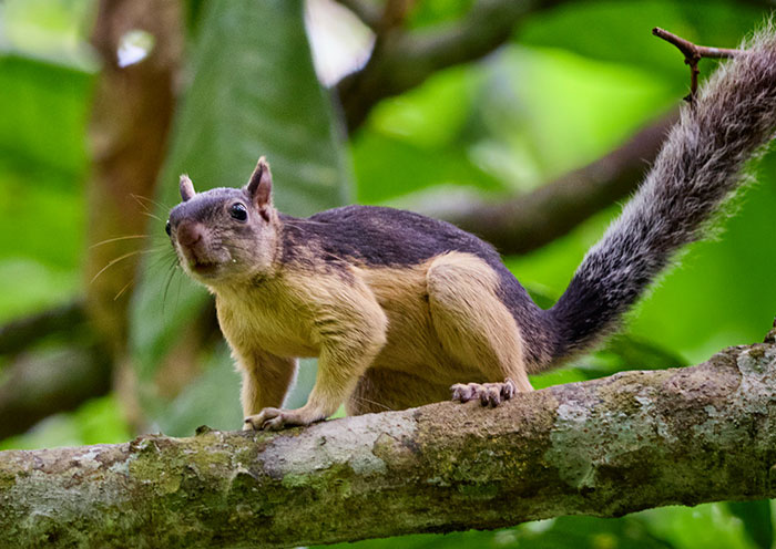 Wait, Divorce Lawyers Spilled The Wildest Case Stories Ever