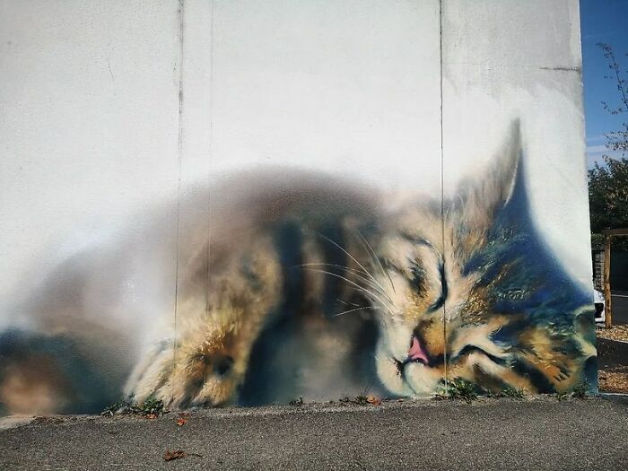 Wall Art That Makes You Go WOW: 80 Street Murals You’ve Gotta See