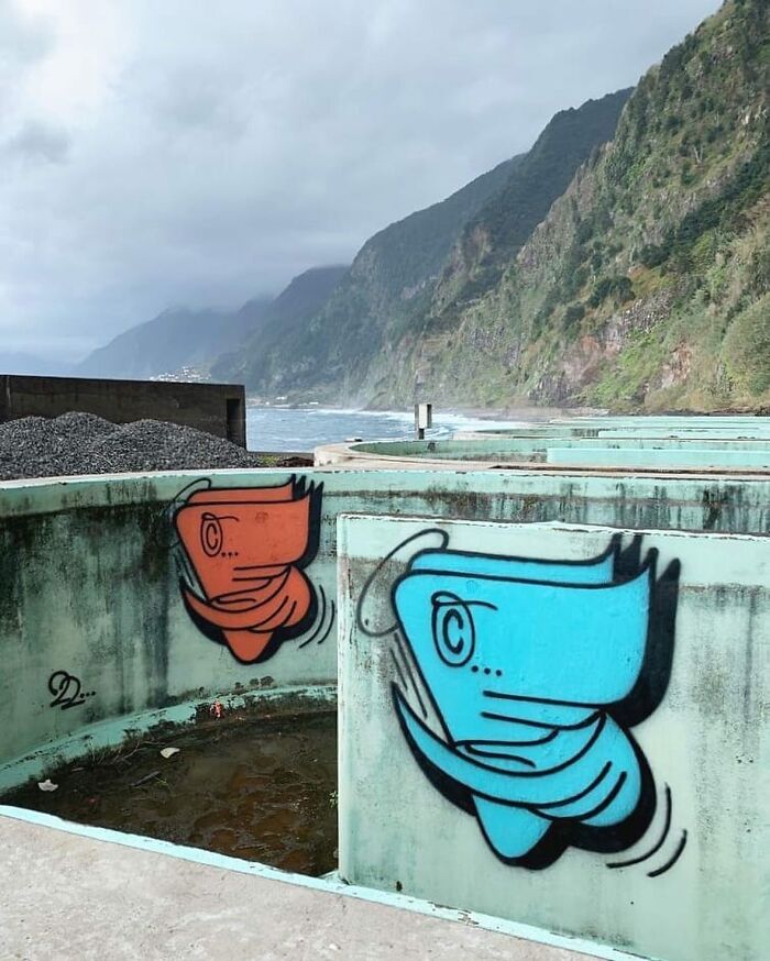 Wall Art That Makes You Go WOW: 80 Street Murals You’ve Gotta See