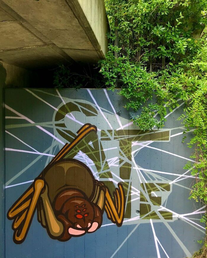 Wall Art That Makes You Go WOW: 80 Street Murals You’ve Gotta See