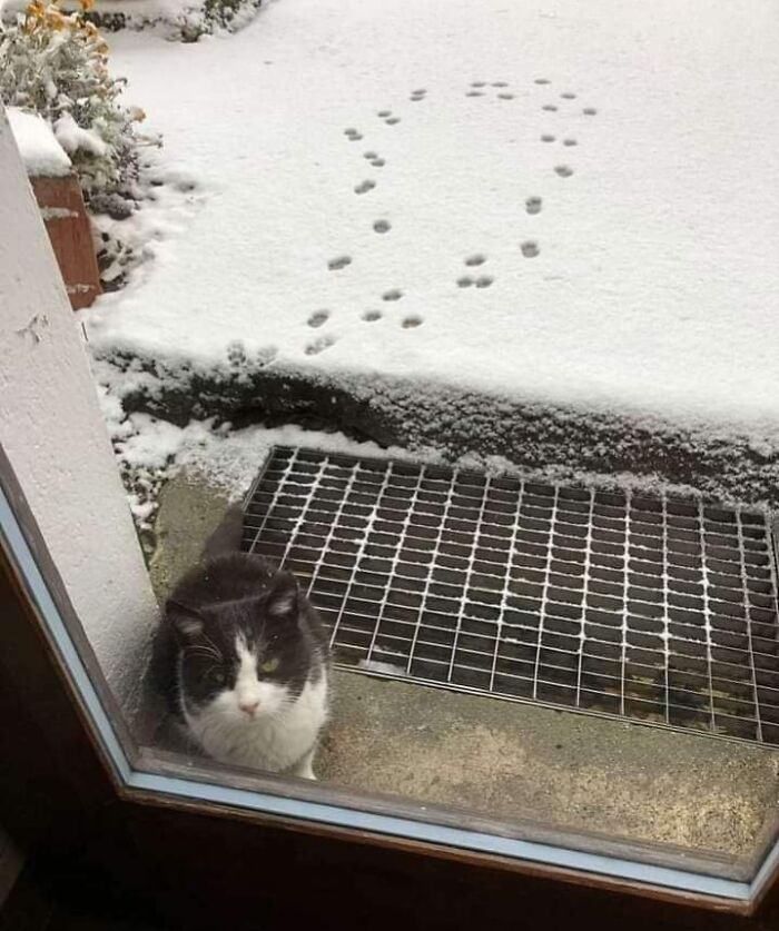 Wait, They Actually Ranked These Hilarious One-Picture Stories?