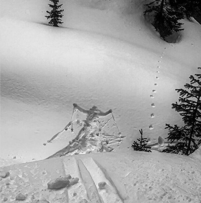 Wait, They Actually Ranked These Hilarious One-Picture Stories?