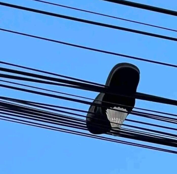 Wait, They Actually Ranked These Hilarious One-Picture Stories?