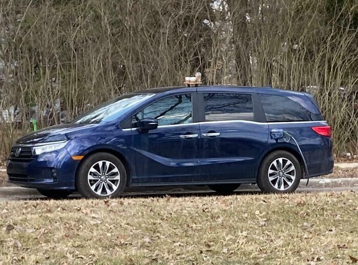 Wait, They Actually Ranked These Hilarious One-Picture Stories?