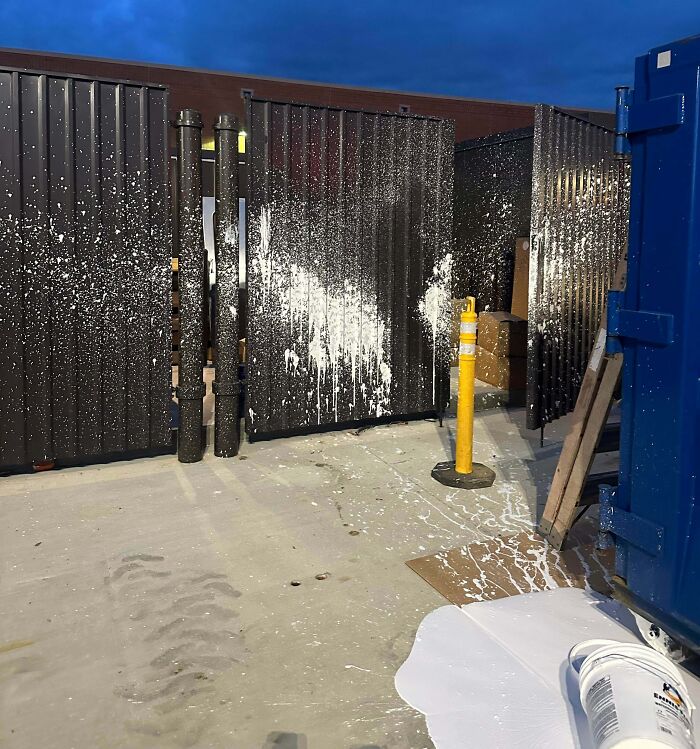 Wait, They Actually Ranked These Hilarious One-Picture Stories?