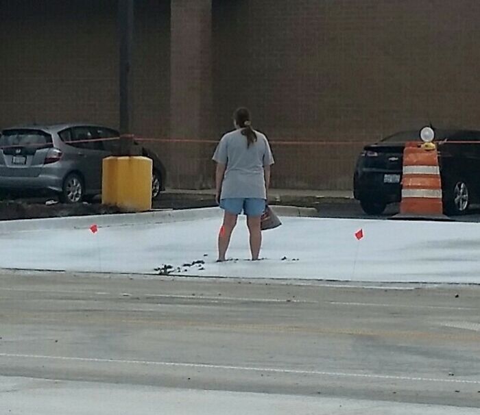 Wait, They Actually Ranked These Hilarious One-Picture Stories?