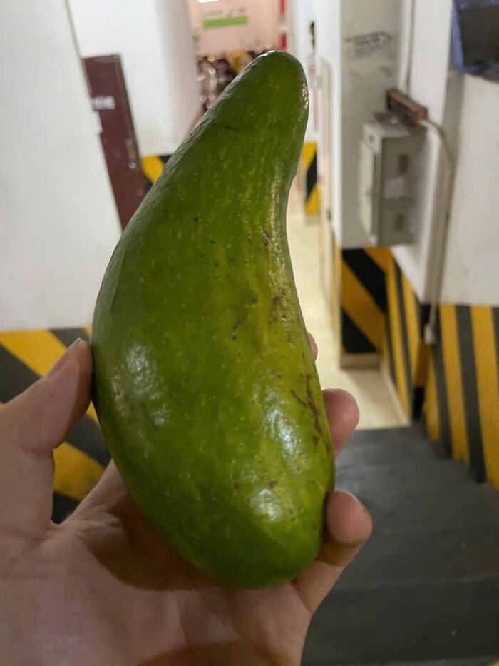 Vietnam’s Sweet Avocado Surprise