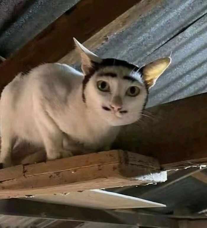 Random Cool Pic That Makes You Go Hmm