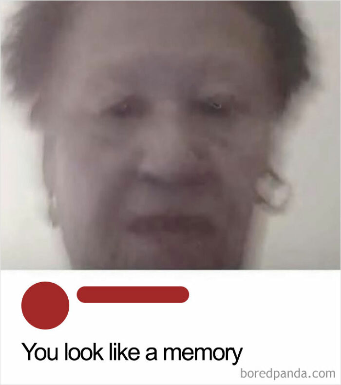 Wait, They Actually Ranked These Hilarious Random Pics?!