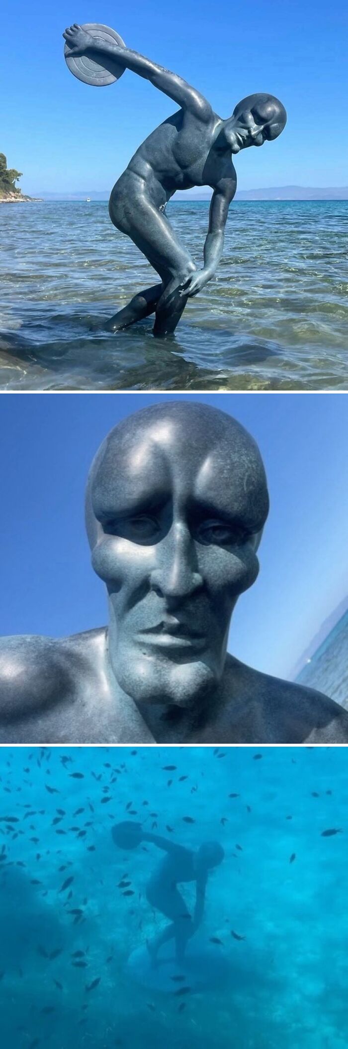 Wait, They Actually Ranked These Hilarious Random Pics?!