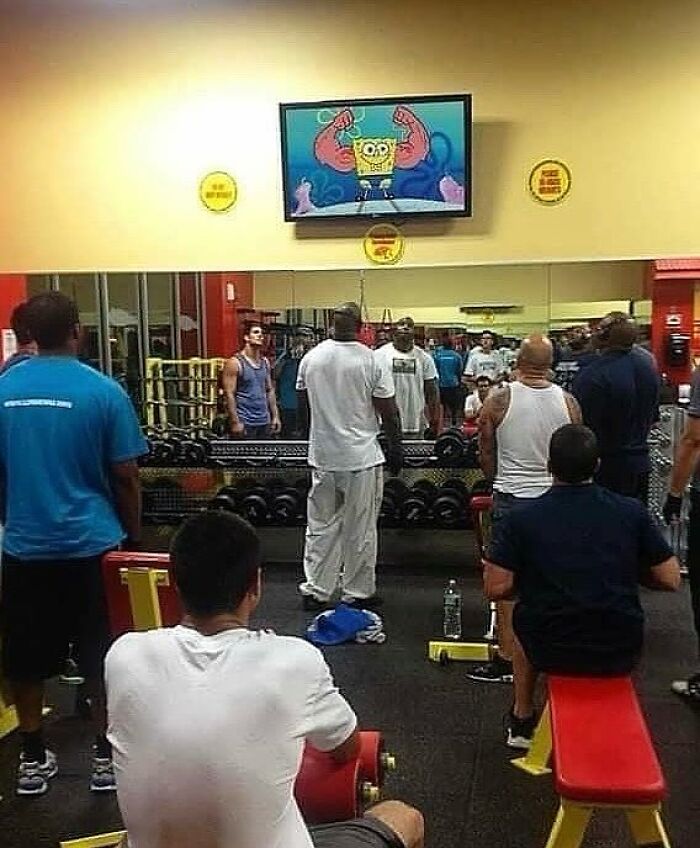 Wait, They Actually Ranked These Hilarious Random Pics?!