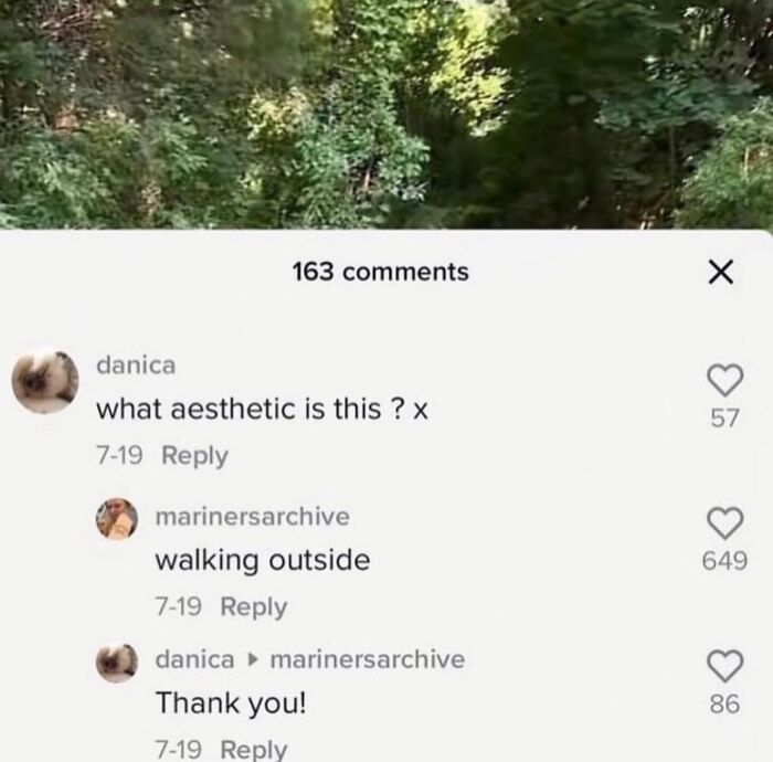 Wait, They Actually Ranked These Hilarious Random Pics?!