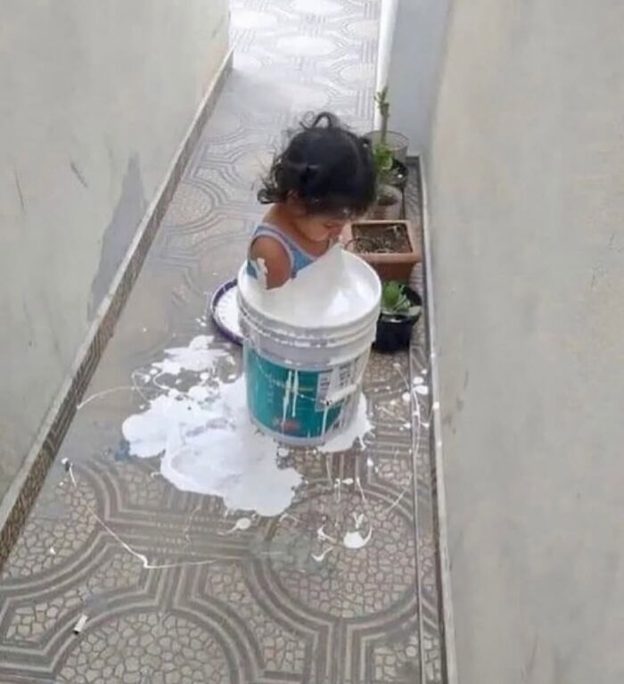 Wait, They Actually Ranked These Hilarious Random Pics?!