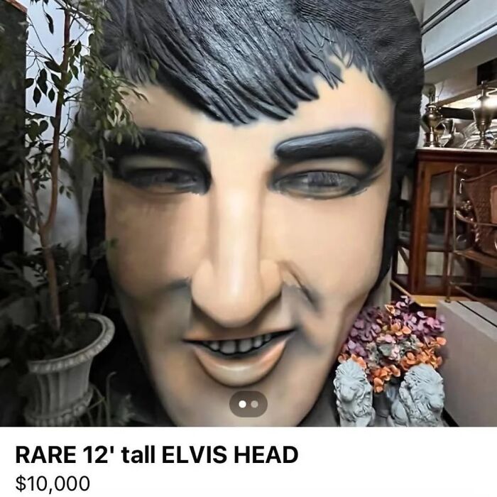 Wait, They Actually Ranked These Hilarious Random Pics?!