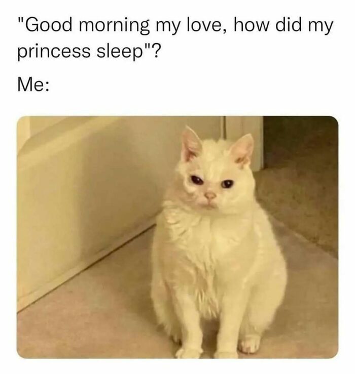 These 109 Memes Nail Life’s Messy Moments and Make You Laugh (Promise!)