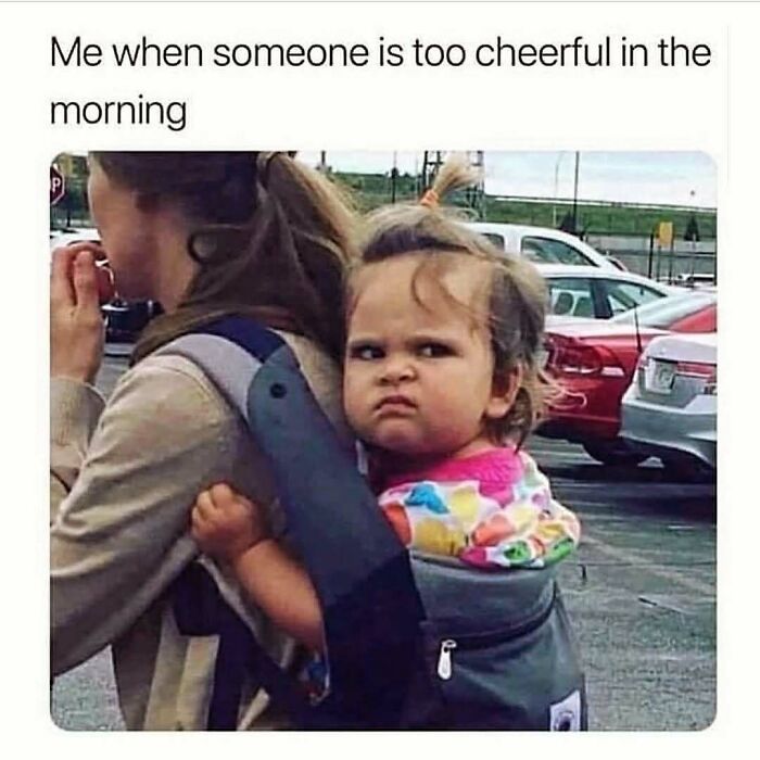 These 109 Memes Nail Life’s Messy Moments and Make You Laugh (Promise!)