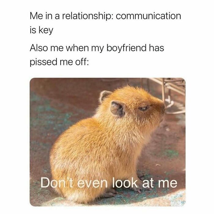 These 109 Memes Nail Life’s Messy Moments and Make You Laugh (Promise!)