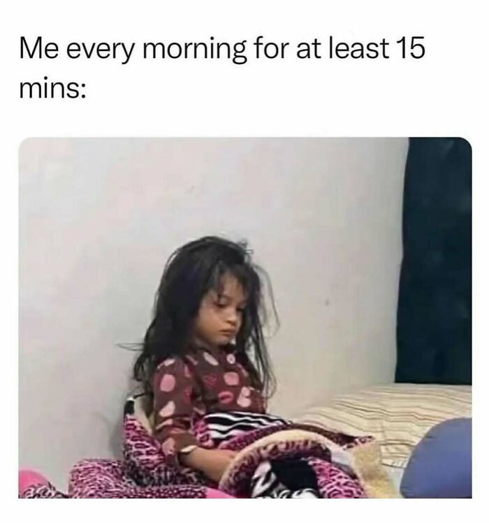 These 109 Memes Nail Life’s Messy Moments and Make You Laugh (Promise!)