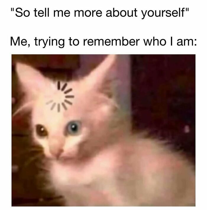 These 109 Memes Nail Life’s Messy Moments and Make You Laugh (Promise!)