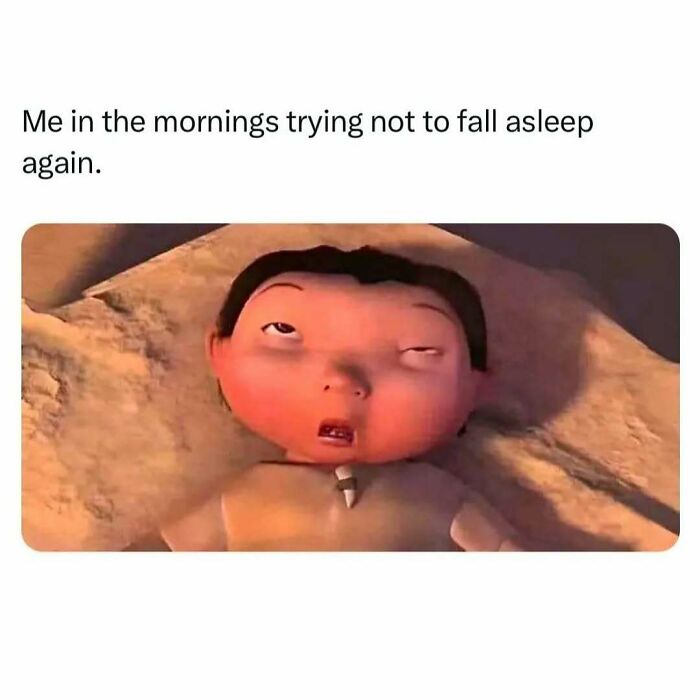 These 109 Memes Nail Life’s Messy Moments and Make You Laugh (Promise!)