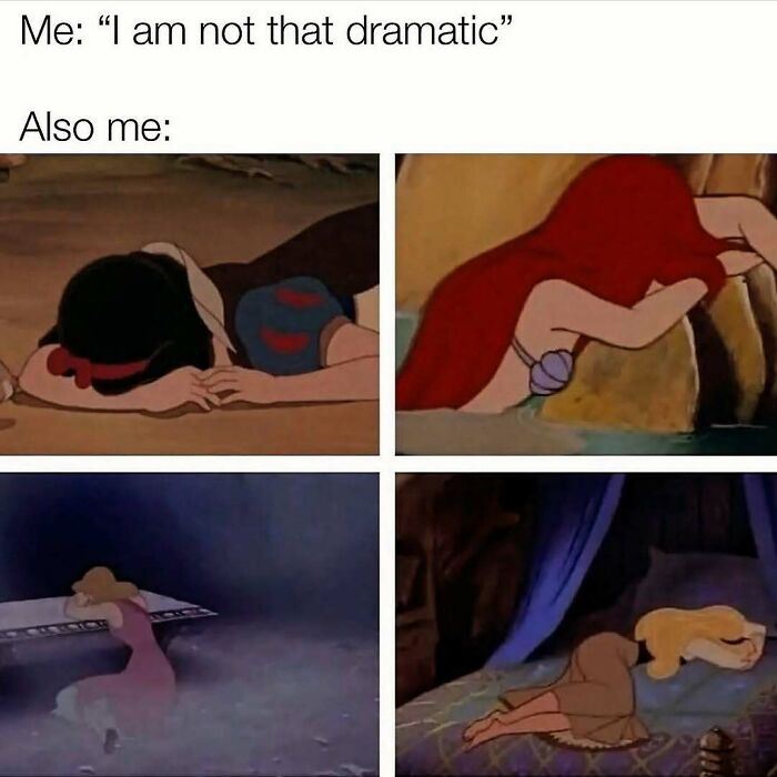 These 109 Memes Nail Life’s Messy Moments and Make You Laugh (Promise!)