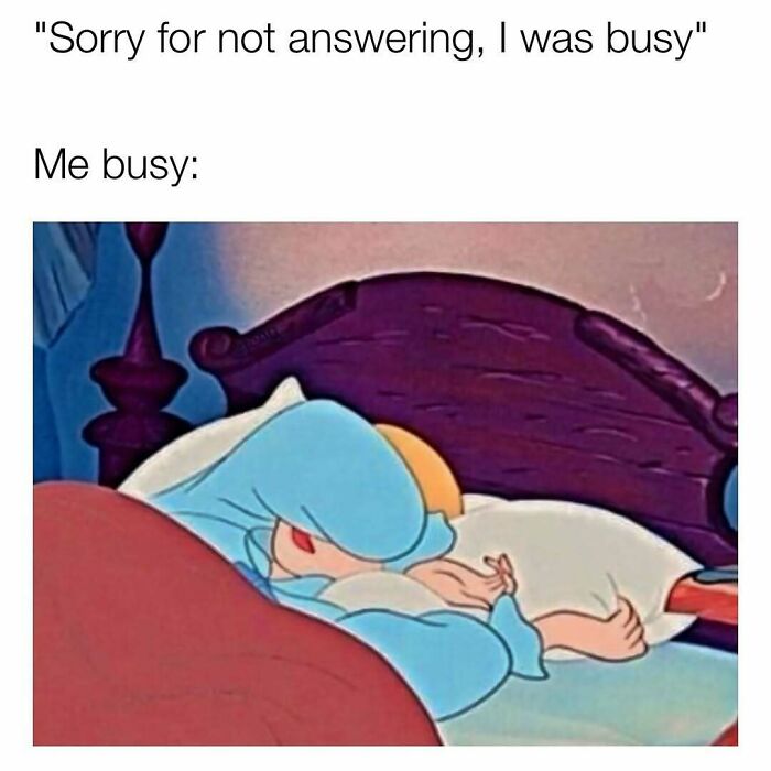 These 109 Memes Nail Life’s Messy Moments and Make You Laugh (Promise!)