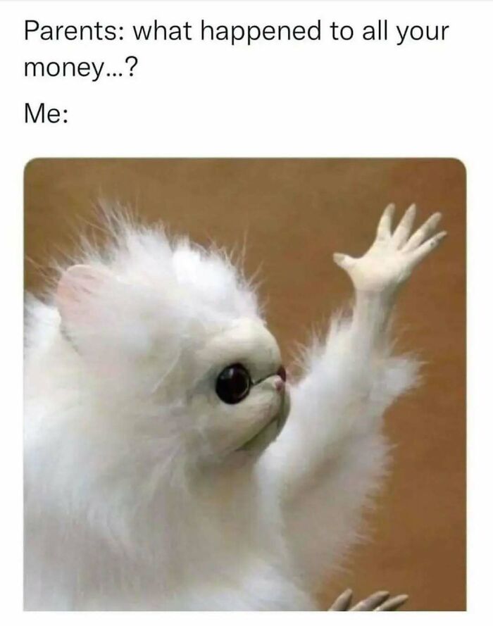 These 109 Memes Nail Life’s Messy Moments and Make You Laugh (Promise!)