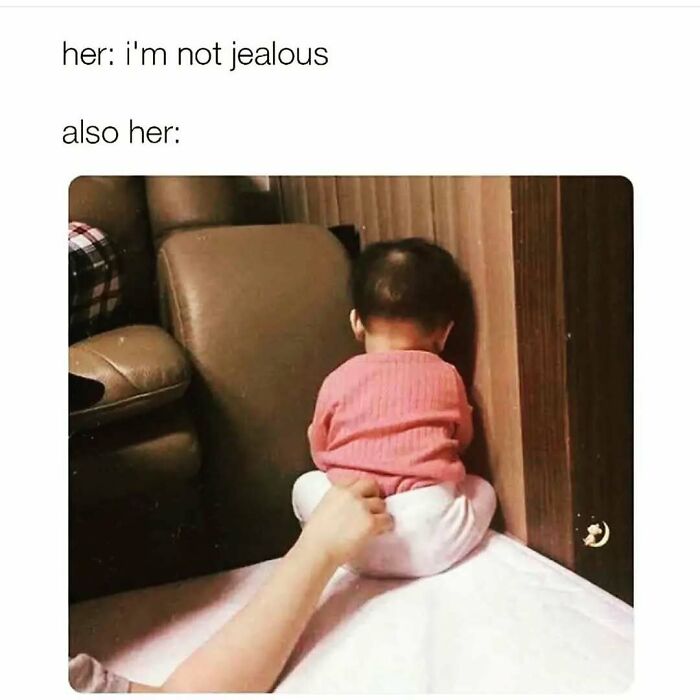 These 109 Memes Nail Life’s Messy Moments and Make You Laugh (Promise!)