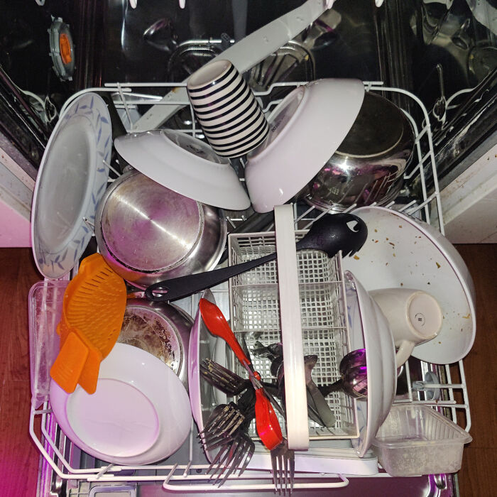 The Way My Girlfriend Loads The Dishwasher Is Just... Wow