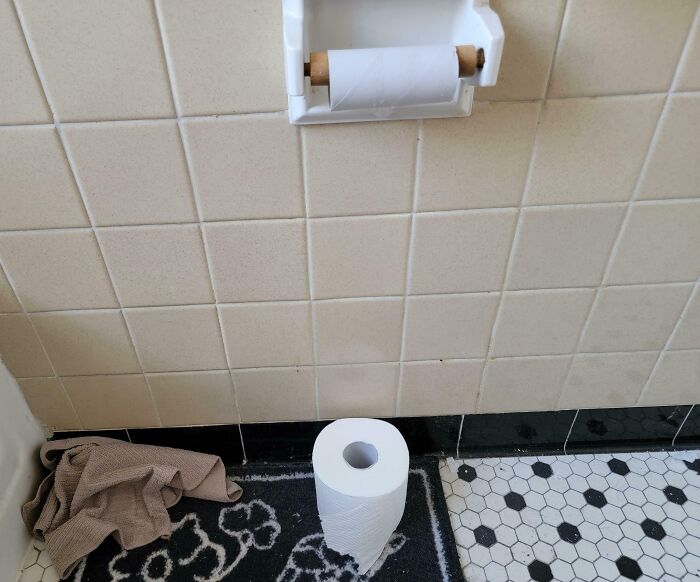 My Girlfriend Uses Up So Much Toilet Paper And Doesn’t Even Replace The Roll