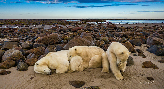 25 Wildlife Pics So Cool You’ll Do a Double Take