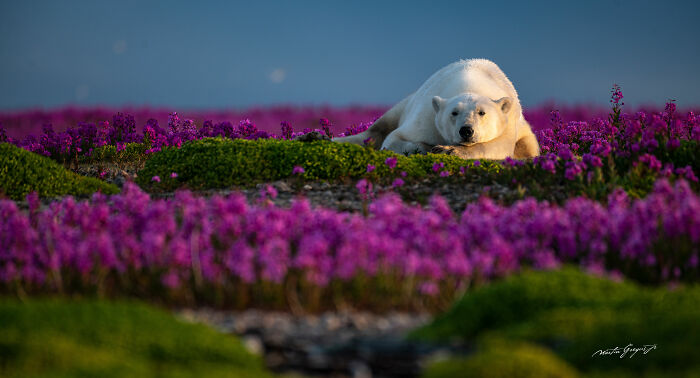 25 Wildlife Pics So Cool You’ll Do a Double Take