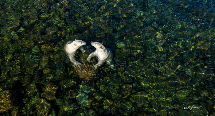 25 Wildlife Pics So Cool You’ll Do a Double Take