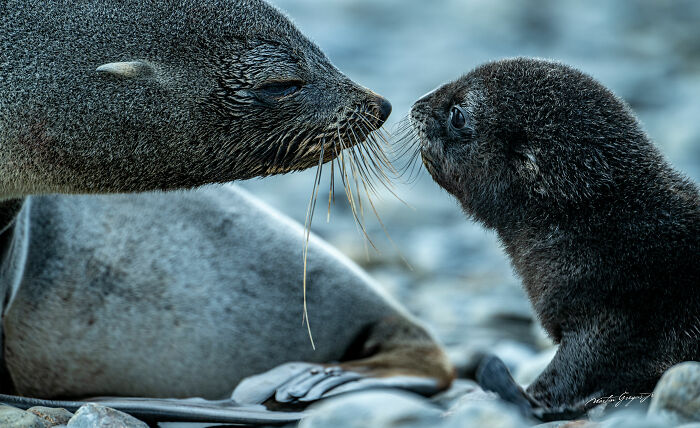 25 Wildlife Pics So Cool You’ll Do a Double Take