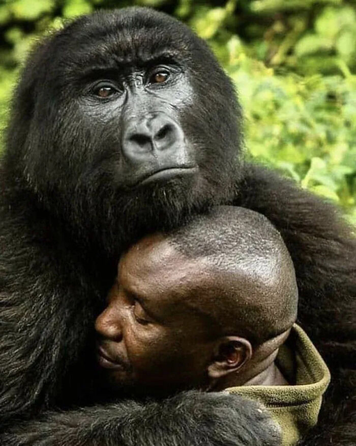 41 Animal Pics That Are Basically Nature Showing Off