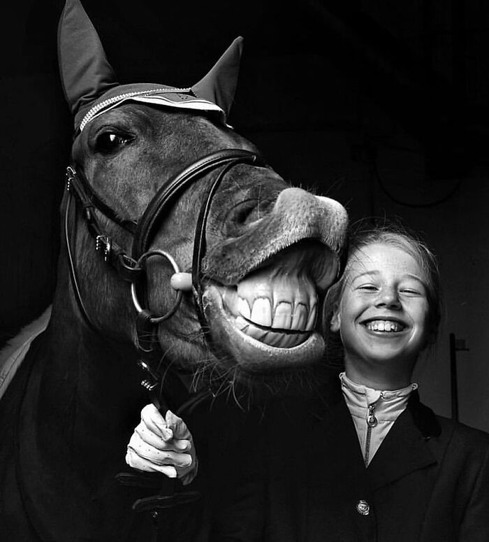 41 Animal Pics That Are Basically Nature Showing Off