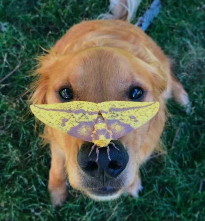 41 Animal Pics That Are Basically Nature Showing Off