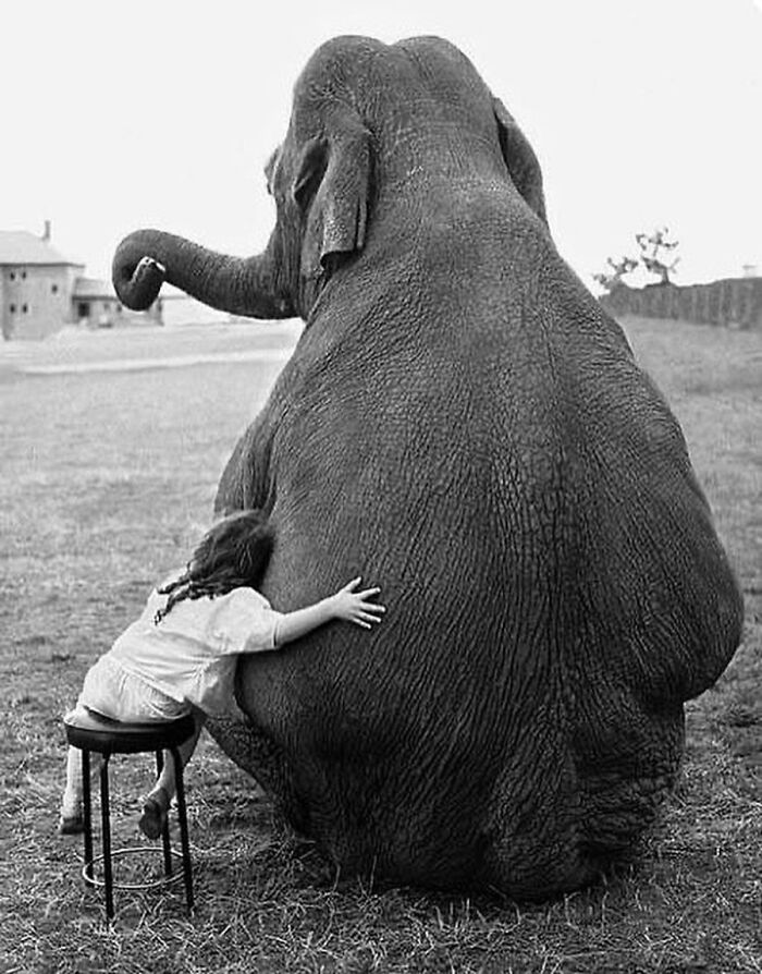 41 Animal Pics That Are Basically Nature Showing Off