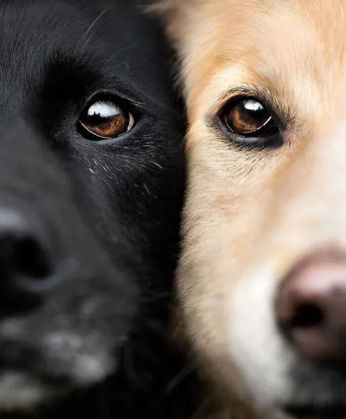 41 Animal Pics That Are Basically Nature Showing Off