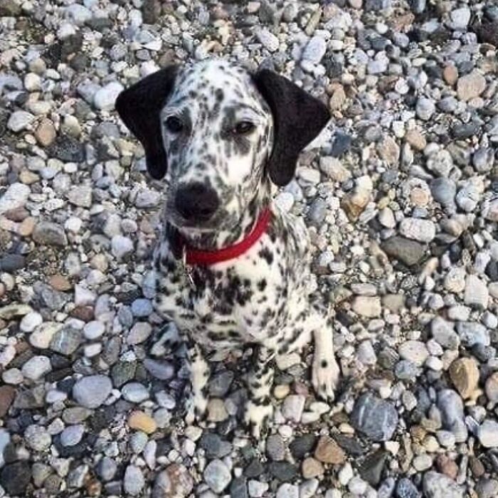 41 Animal Pics That Are Basically Nature Showing Off