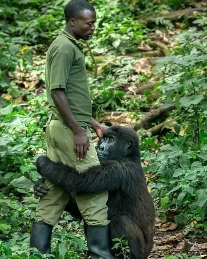 41 Animal Pics That Are Basically Nature Showing Off