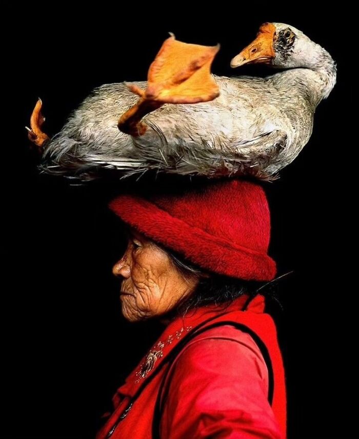 41 Animal Pics That Are Basically Nature Showing Off