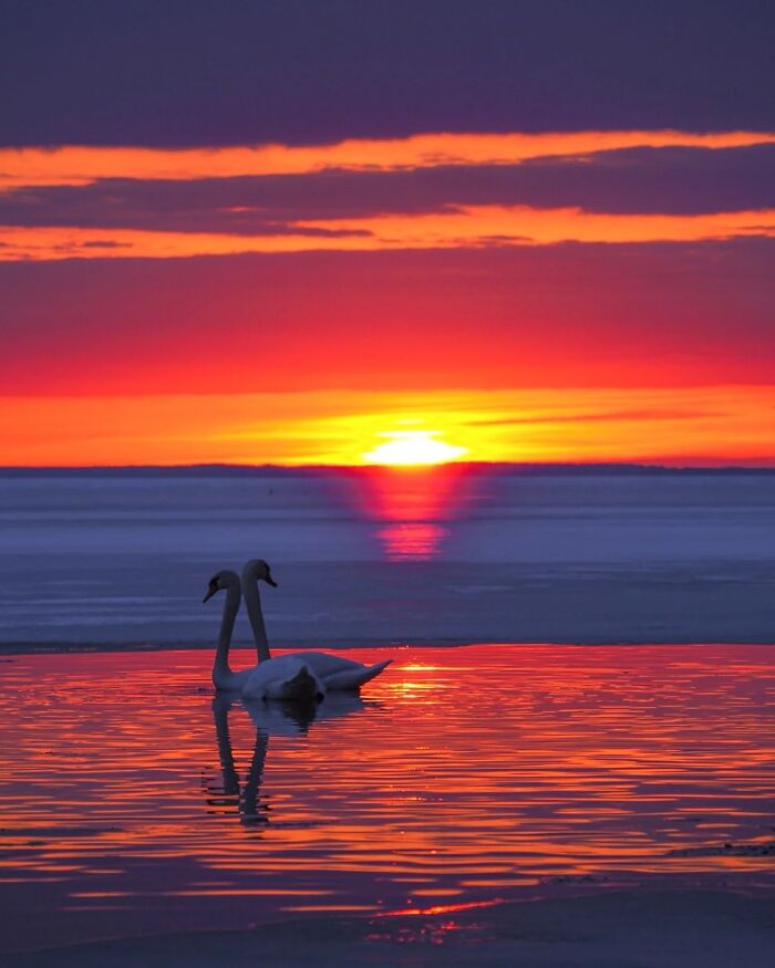 These 43 Sunset Pics Will Totally Blow Your Mind (No Kidding)