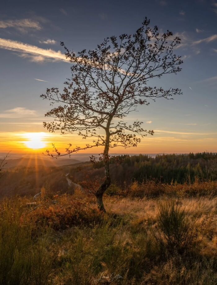 These 43 Sunset Pics Will Totally Blow Your Mind (No Kidding)