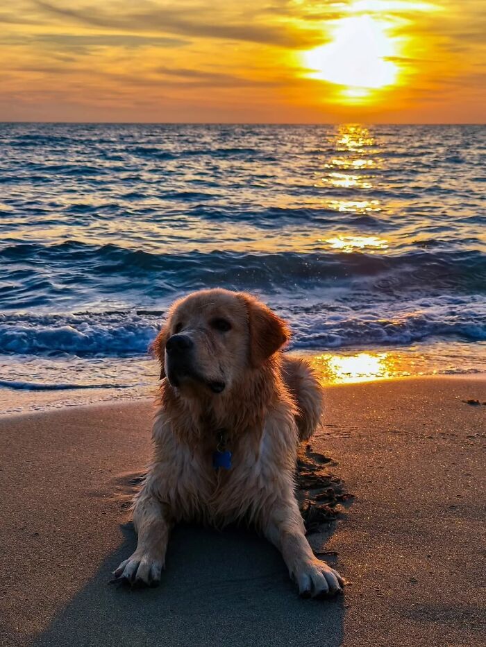 These 43 Sunset Pics Will Totally Blow Your Mind (No Kidding)