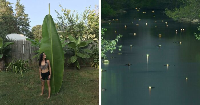 Wait Till You See These Wild Nature Pics That Totally Make You Go Whoa!