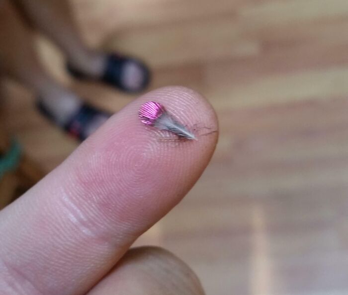 This Hummingbird Feather? Pure Tiny Magic.